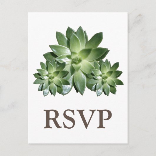 Einfache Sukkulente Hochzeitssache RSVP Postkarte (Vorderseite)