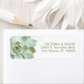 Einfache Sukkulente Kaktus-Hochzeitadresse (Insitu)