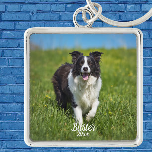 Einfache Tierfoto-Rahmen Border Collie Personalisi Schlüsselanhänger