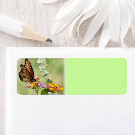 Einfache Vergnügungen (Insitu)