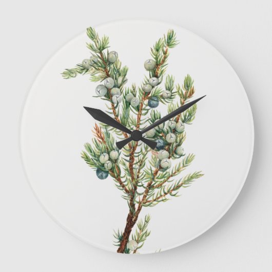 Einfache Vintage Botanische Bergjuniper Große Wanduhr (Vorderseite)