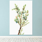 Einfache Vintage Botanische Bergjuniper Leinwanddruck (Insitu (Holzboden))