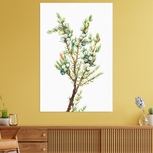 Einfache Vintage Botanische Bergjuniper Leinwanddruck (Insitu (Wohnzimmer))