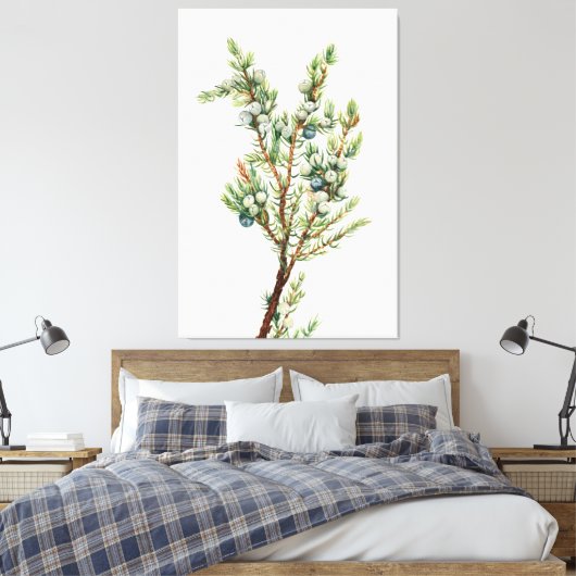 Einfache Vintage Botanische Bergjuniper Leinwanddruck (Insitu (Schlafzimmer))