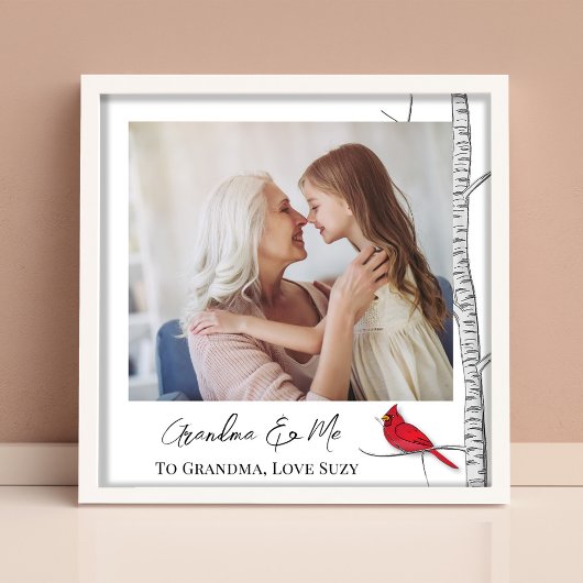 Einfache Wasserfarbe Winter Roter Kardinal Birch T Fotodruck