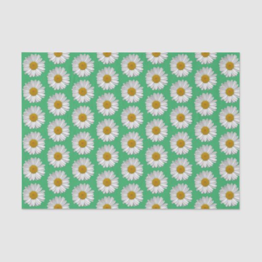 Einfache Weiße Daisy-Blume-Muster Grün Seidenpapier (Vorderseite)