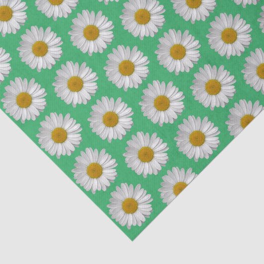 Einfache Weiße Daisy-Blume-Muster Grün Seidenpapier (Ausschnitt)