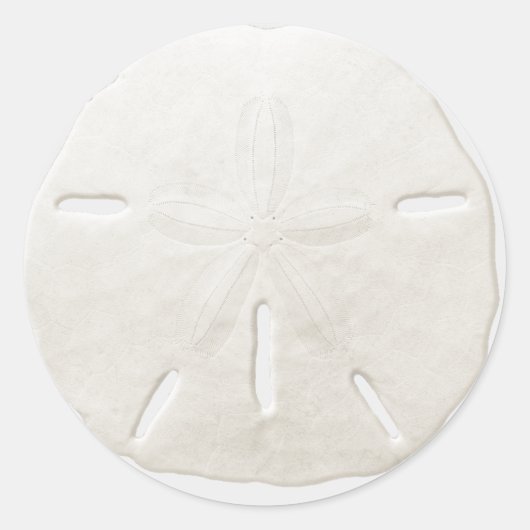 Einfache White Sand Dollar Beach Hochzeit Gefallen Runder Aufkleber (Vorderseite)