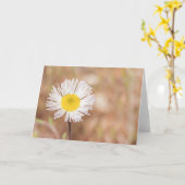 Einfache Wildweiße Daisy-Blume Karte (Gelbe Blume)