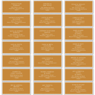einfache Wüste Burnt Orange Address Labels