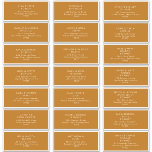 einfache Wüste | Burnt Orange Address Labels (Vorderseite)