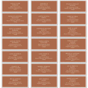 einfache Wüste   Terracotta Address Labels