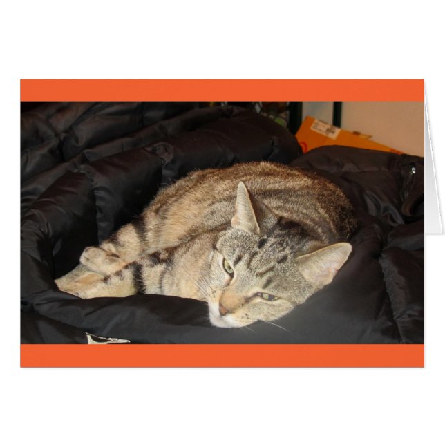 Einfache Zeit für Indigo (Vorderseite (Horizontal))