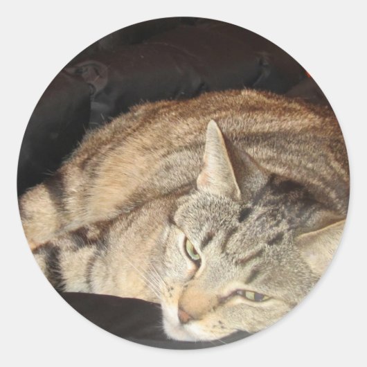 Einfache Zeit für Indigo Runder Aufkleber (Vorderseite)