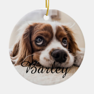 Einfacher eleganter Hunde-Name und Foto-Weihnachte Keramik Ornament