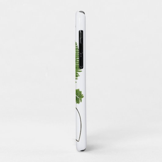 Einfacher Farn, Case-Mate iPhone Hülle (Hinten/Links)