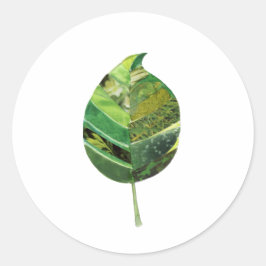 Einfacher Leaf-Sticker Runder Aufkleber