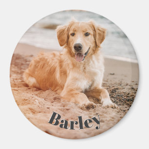 Einfacher minimaler Foto-Name für Hund modernes Sü Magnet