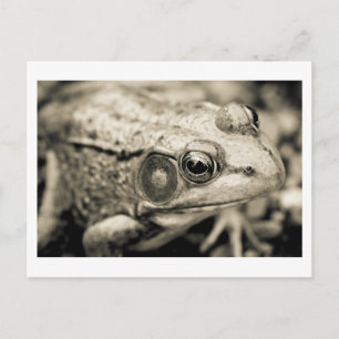 einfacher Wunsch zum Tag Postkarte