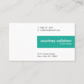 Einfaches Aqua und gebürstete TitanVisitenkarten Visitenkarte (Rückseite)