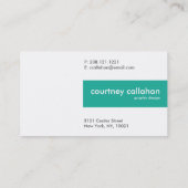 Einfaches Aqua und gebürstete TitanVisitenkarten Visitenkarte (Rückseite)