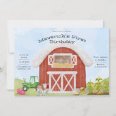 Einfaches Bauerngeld 1. Geburtstag Einladung (Vorderseite)