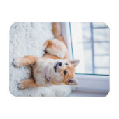 Einfaches benutzerdefiniertes Foto Magnet (Horizontal)
