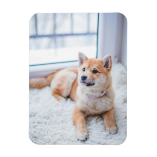 Einfaches benutzerdefiniertes Foto Magnet