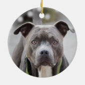 Einfaches benutzerdefiniertes Pit Bull Dog-Foto Keramik Ornament (Hinten)
