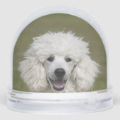 Einfaches benutzerdefiniertes Poodle-Foto Schneekugeln (Rückseite)