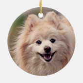 Einfaches benutzerdefiniertes Spitz-Hund-Foto Keramik Ornament (Hinten)