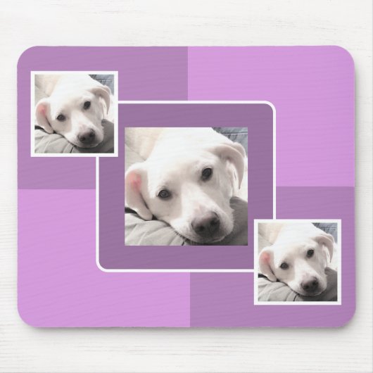 Einfaches Drei Foto Modernes Square Design Lila Mousepad (Vorne)