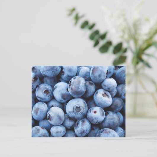 Einfaches Feinschmecker Blueberry-Muster Postkarte (Stehend Vorderseite)
