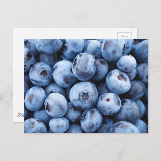 Einfaches Feinschmecker Blueberry-Muster Postkarte (Vorne/Hinten)