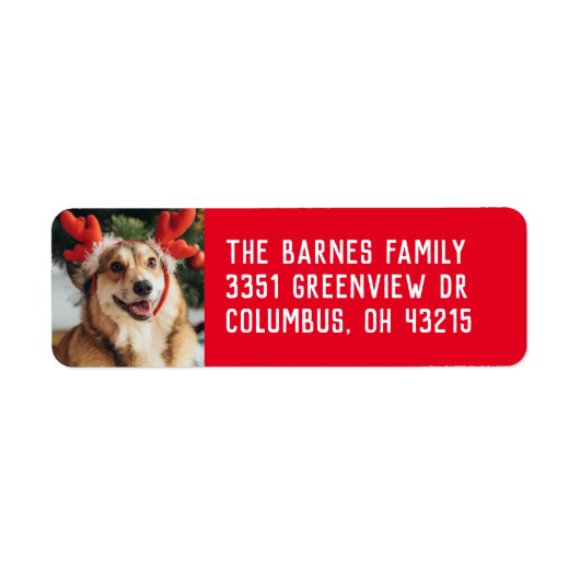 Einfaches Ferientitel Foto Rote Rücksendeadresse (Vorne)