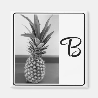 Einfaches Foto einer Ananas mit Single Initial Magnet
