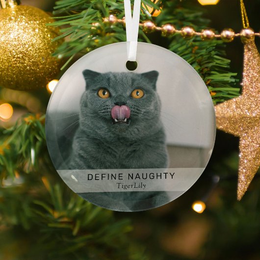 Einfaches Funny 'Definieren Naughty' Pet Foto Keep Ornament Aus Glas