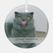 Einfaches Funny 'Definieren Naughty' Pet Foto Keep Ornament Aus Glas (Vorderseite)
