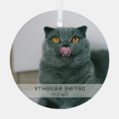 Einfaches Funny 'Definieren Naughty' Pet Foto Keep Ornament Aus Glas (Rückseite)