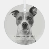Einfaches Funny 'Definieren Naughty' Pet Foto Keep Ornament Aus Glas (Rückseite)
