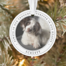 Einfaches Gedenkfoto für Hund und Haustier