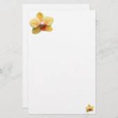 Einfaches gelbes Orchideen-Briefpapier Briefpapier (Vorne/Hinten)