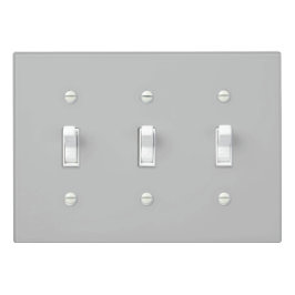 Einfaches hellgraues Authority® 3-Toggle