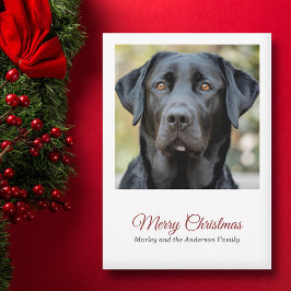 Einfaches Hund Foto Frohe Weihnachtskarte Feiertagskarte