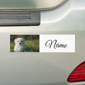 Einfaches Kolorful tier add name foto custom throw Autoaufkleber (Auf Auto)