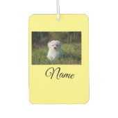 Einfaches Kolorful tier add name foto custom throw Autolufterfrischer (Vorderseite)