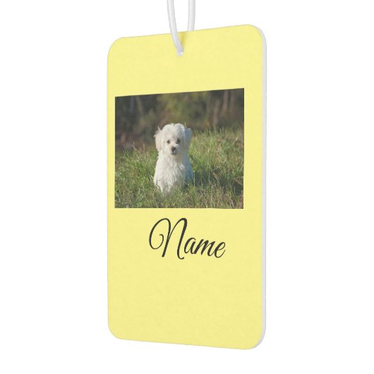 Einfaches Kolorful tier add name foto custom throw Autolufterfrischer (Links)