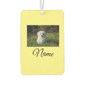 Einfaches Kolorful tier add name foto custom throw Autolufterfrischer (Rückseite)