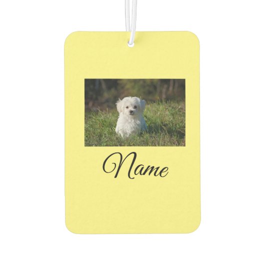 Einfaches Kolorful tier add name foto custom throw Autolufterfrischer (Rückseite)