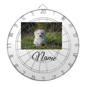 Einfaches Kolorful tier add name foto custom throw Dartscheibe